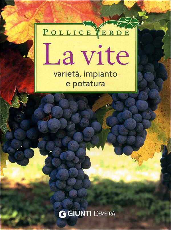 Immagine prodotto 1