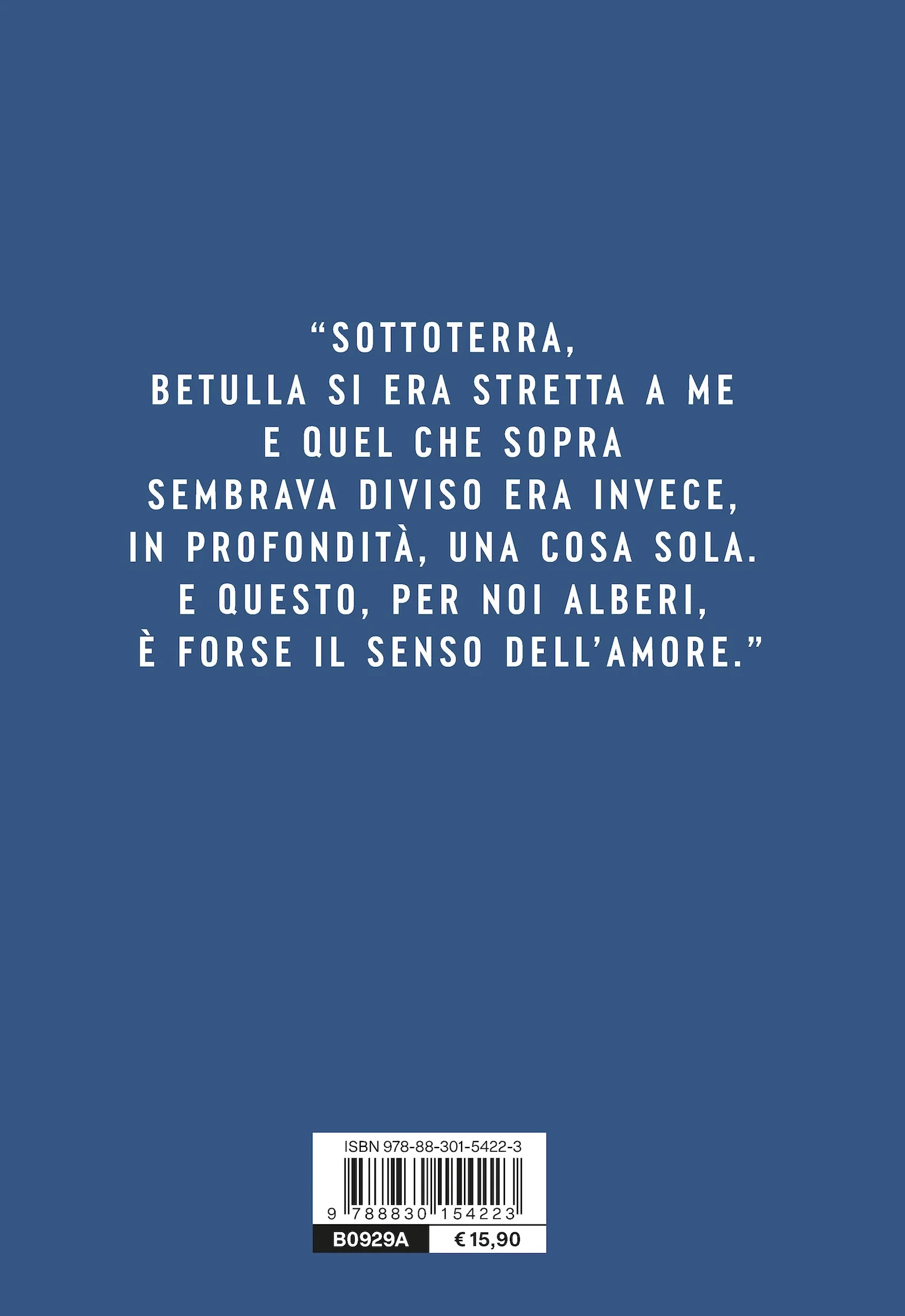 Immagine prodotto 3