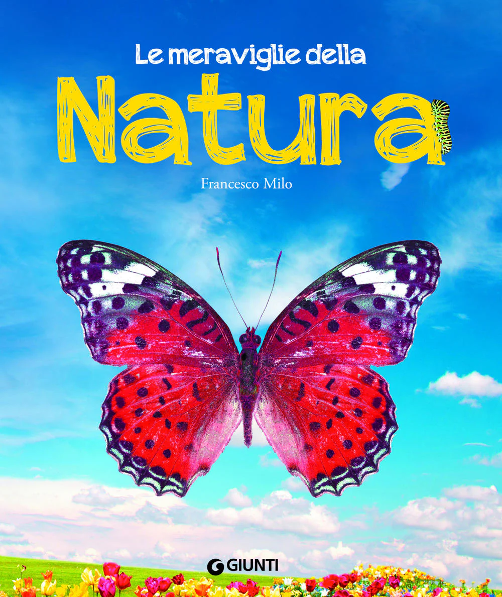 Immagine prodotto 1