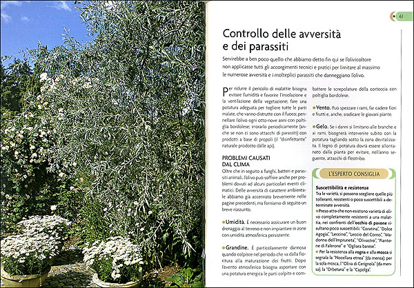 Immagine prodotto 3