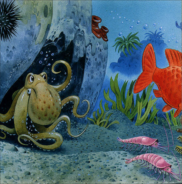 Immagine prodotto 4