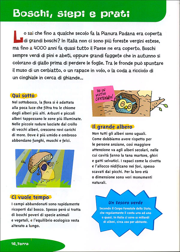 Immagine prodotto 3