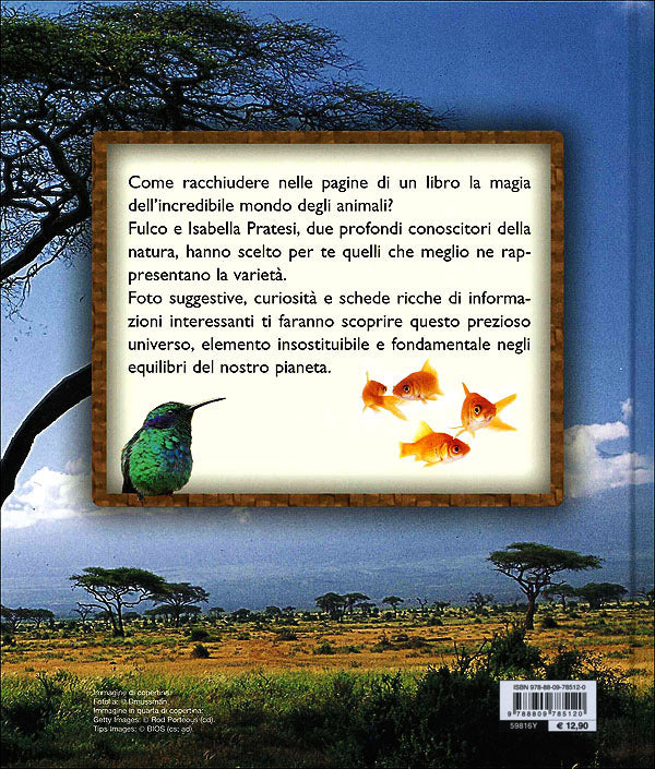 Immagine prodotto 2