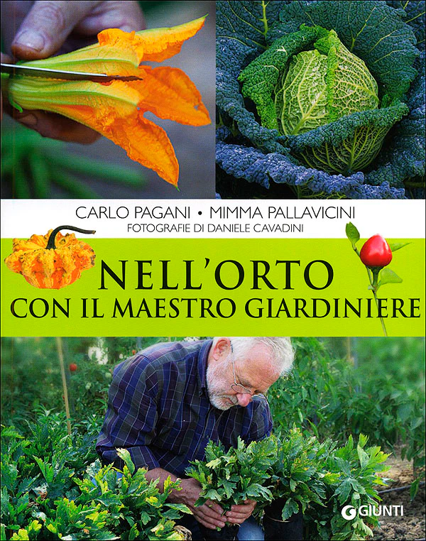 Immagine prodotto 1