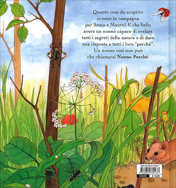 Immagine prodotto 2