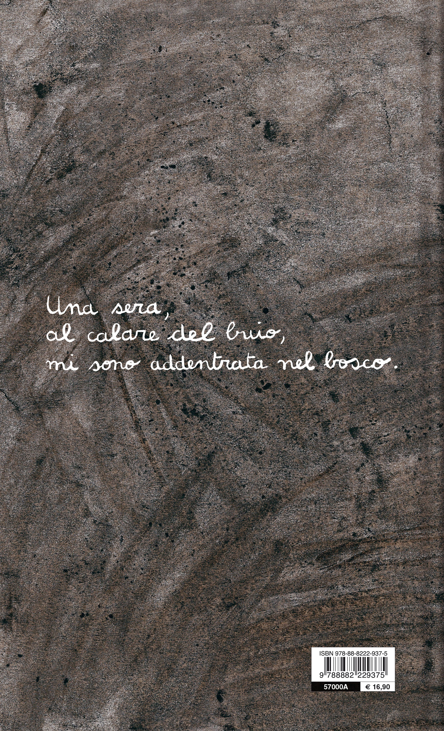 Immagine prodotto 2