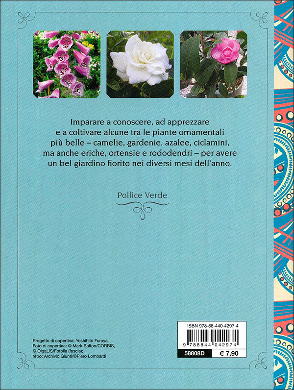 Immagine prodotto 2
