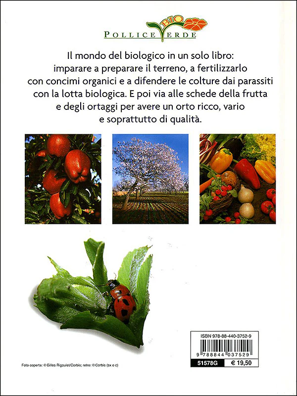 Immagine prodotto 2