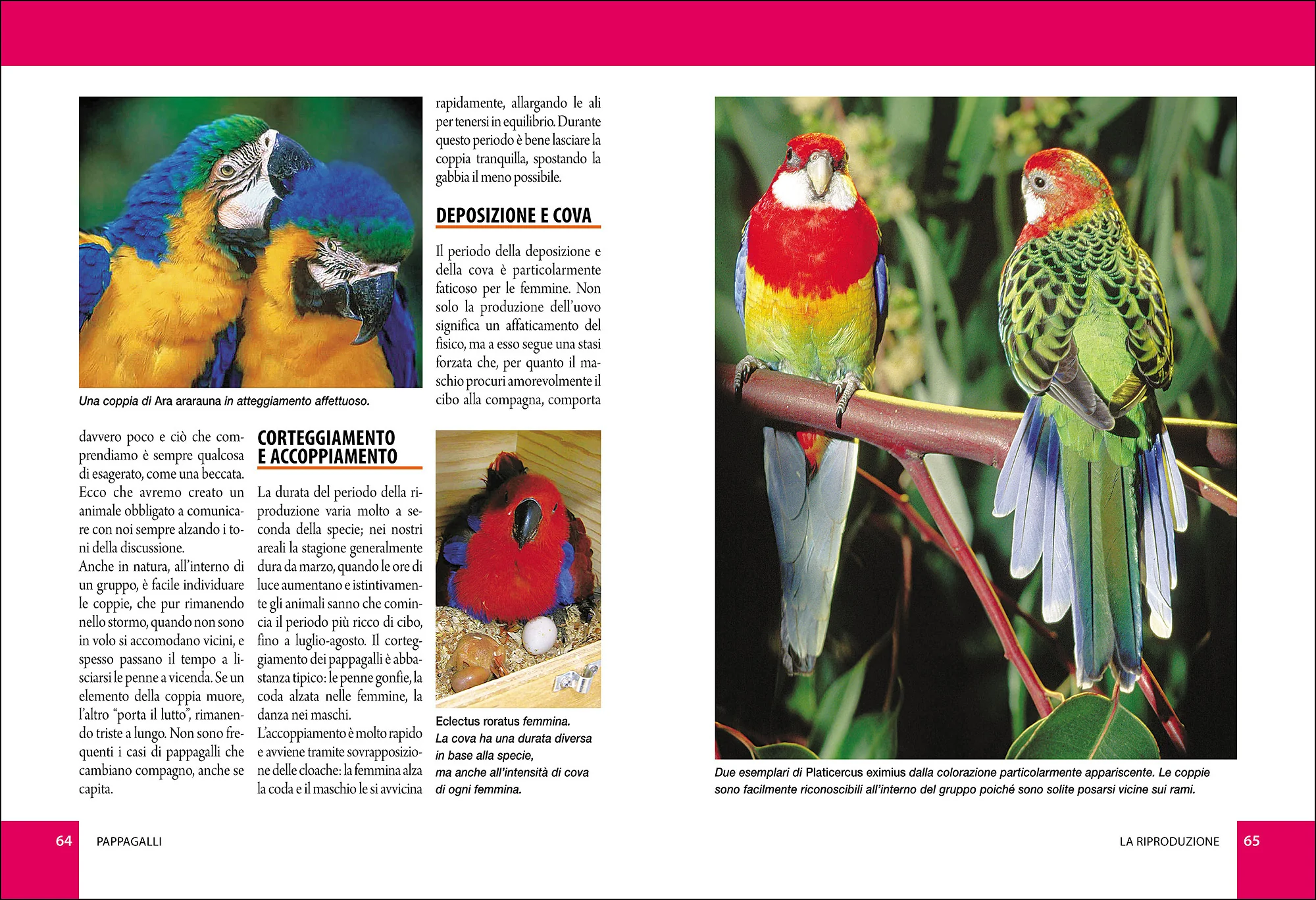 Immagine prodotto 5