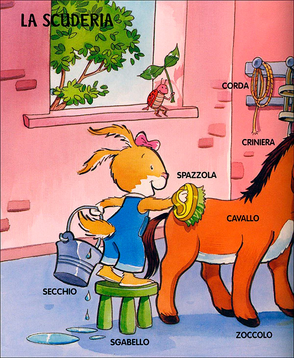 Immagine prodotto 3