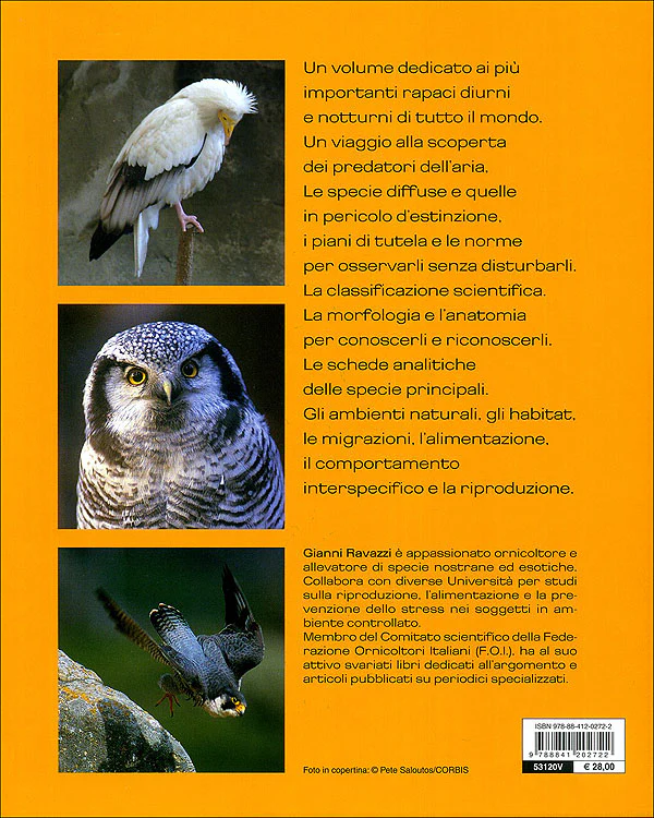 Immagine prodotto 2