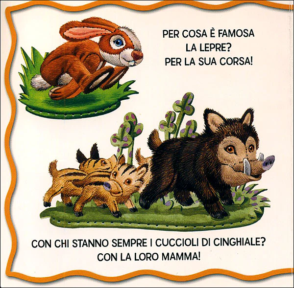 Immagine prodotto 4