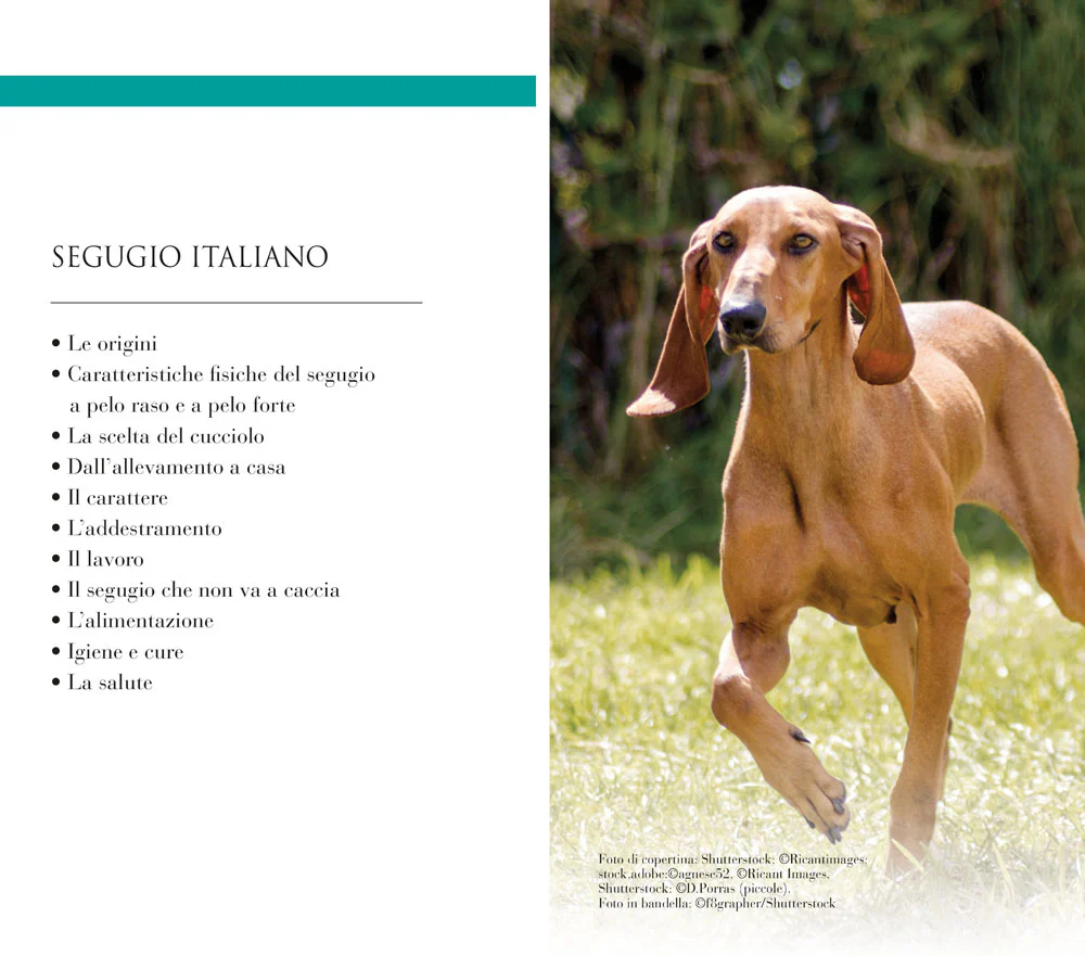 Immagine prodotto 3