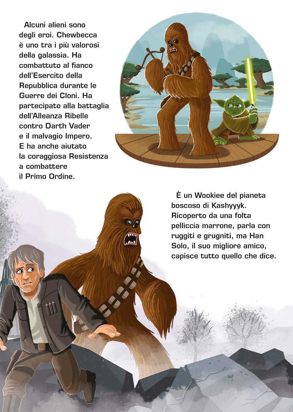Immagine prodotto 5
