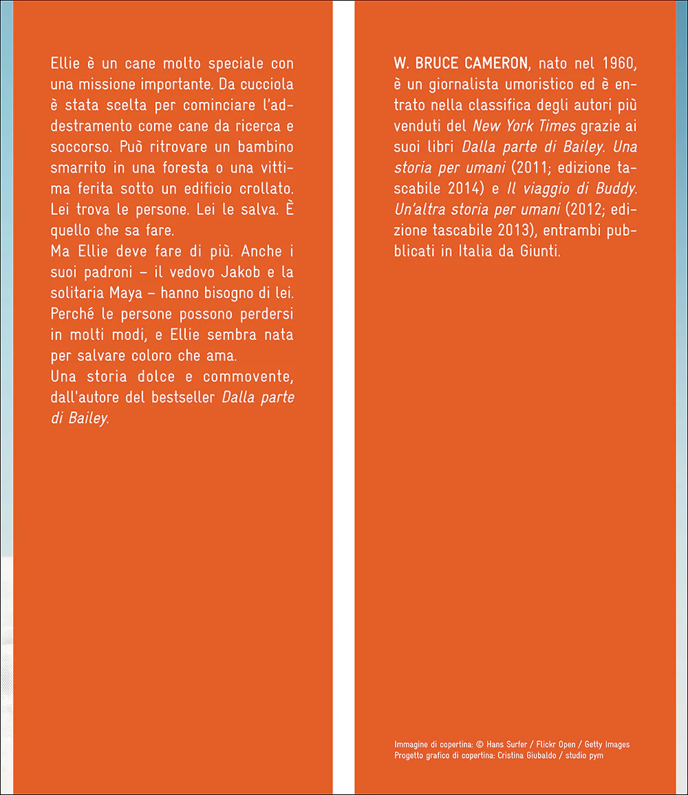 Immagine prodotto 3