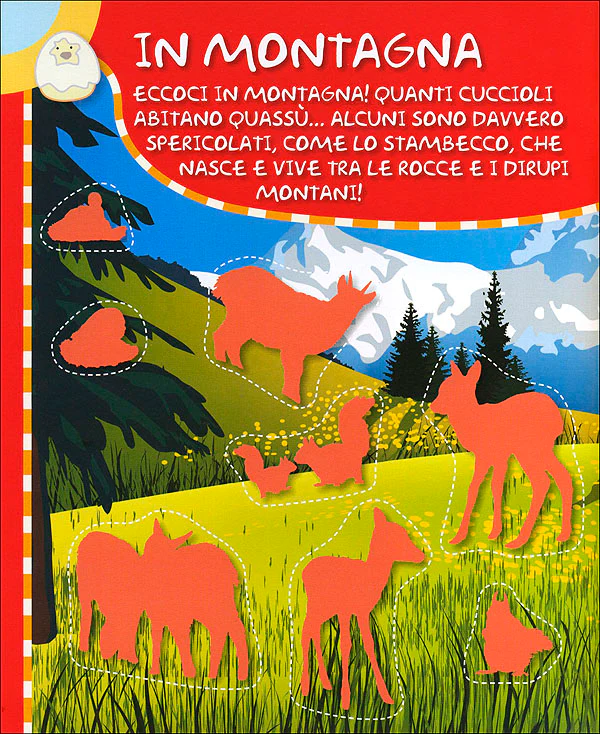 Immagine prodotto 3