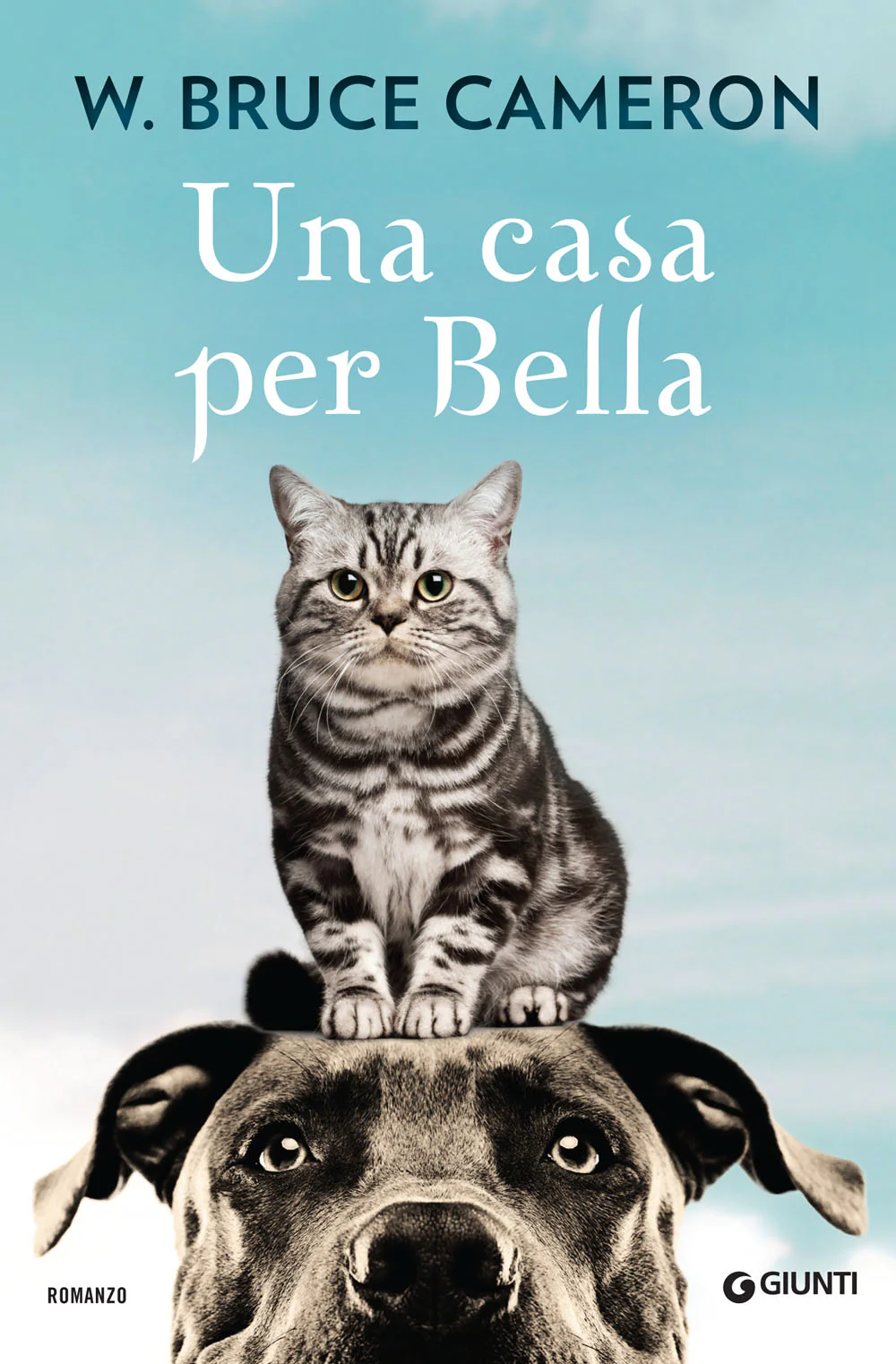 Immagine prodotto 1